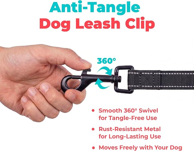 Best Pet Supplies Voyager Reflective Dog Leash or Collar with Neoprene Handle, for Small, Medium, and Large Breed Puppies, Cute and Heavy Duty for Walking, Running and Training - Black (Leash), M
