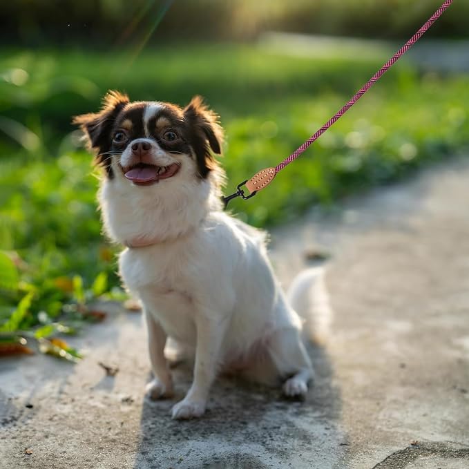 Mile High Life Small Dog Leash, Thin Rope Leash with Genuine Leather Connection and Heavy Duty Metal Clasp, Great for Small Medium Dogs(Pink,72 Inch-1/3)