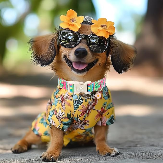 Summer Dog Collar Colorful Geometric Dog Collars for Small Dogs - Lightweight Adjustable Mexican Boho Male Female Dogs Holiday Collar with Safety Buckle S
