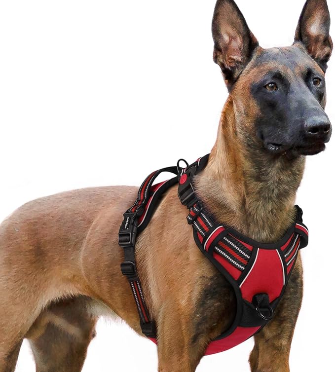 rabbitgoo Dog Harness for Large, No Pull Easy On & Off with 3 Buckles Pet Harness, Adjustable Soft Walking Vest with 2 Clips and Handle, Reflective for Extra Large Dogs, Red, XL