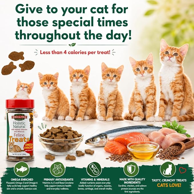 Bench & Field Holistic Natural Healthy Kitty Cat Treats | Crunchy Fish-Shaped Bites | Delicious Seafood Flavored Snack, 3-Ounce (Pack of 3 Bottles)