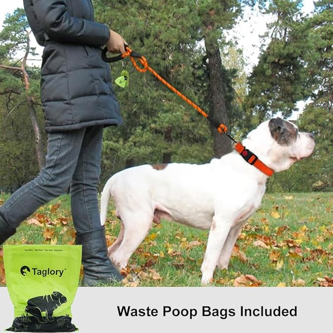 Taglory Rope Dog Leash 4 FT with Comfortable Padded Handle, Highly Reflective Threads Leash and Anti-Tangle Clip for Walking Medium Large Dogs, 1/2 inch, Orange