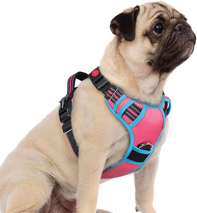 rabbitgoo Dog Harness Small Sized, 3 Buckles Easy On & Off No Pull Pet Vest, Soft Padded Walking Pet Harness with Control Handle, Adjustable and Reflective, Rose Pink & Blue, S