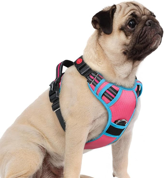 rabbitgoo Dog Harness Small Sized, 3 Buckles Easy On & Off No Pull Pet Vest, Soft Padded Walking Pet Harness with Control Handle, Adjustable and Reflective, Rose Pink & Blue, S