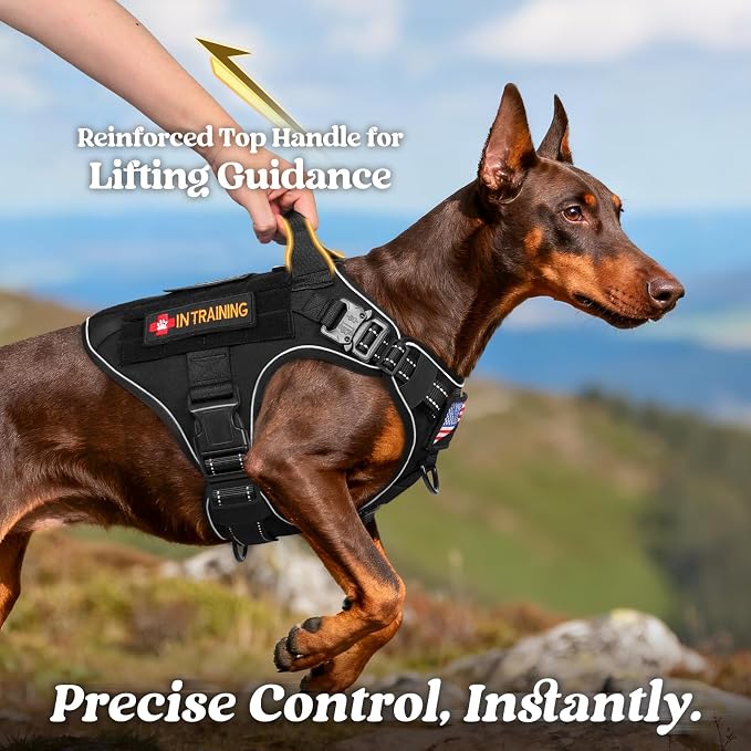 rabbitgoo Tactical Dog Harness for Large Dogs, No Pull Upgraded Reflective Heavy Duty Molle Vest with Handle, Adjustable Military Service Dog Vest for Walking Hiking Training, Black, L