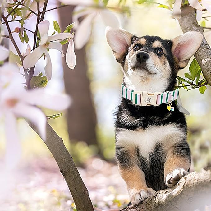 Elegant little tail Dog Collar, Cute Pink with Green Strip Pattern Pet Collars Soft Girl or Boy Adjustable Cotton Puppy Collar with Quick Release Buckle for X-Small Puppy