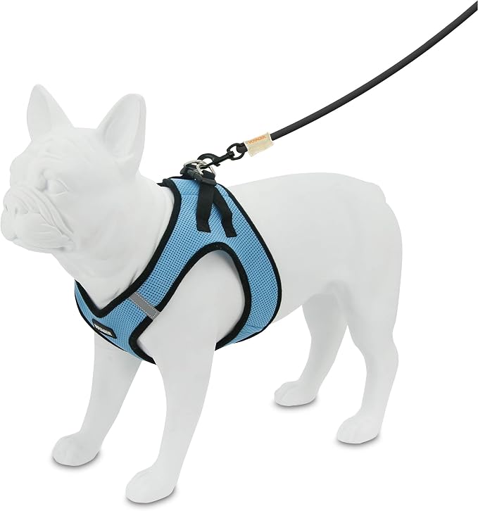 Best Pet Supplies - All Weather Mesh / Plush, Reflective, No Pull Harness for Small, Medium Dogs, Cats - Secure with Hook & Loop Fastener, Buckle, Double D-Rings - Baby Blue/Black Trim, L