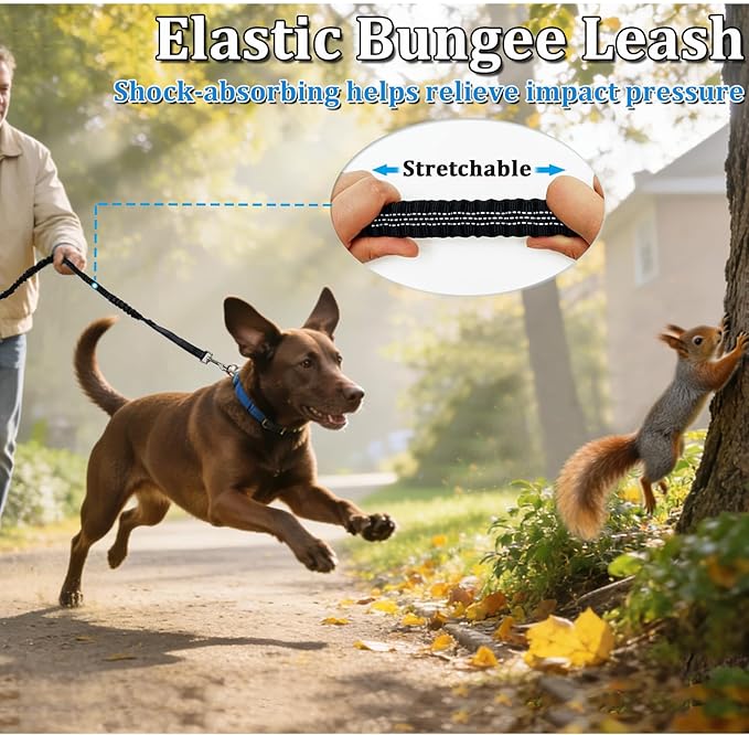WYuZe 4 FT Bungee Dog Leash for Strong Puppy Medium Dogs - Reflective, Shock Absorbing, Elastic Nylon Leash with Padded Handle for Safety Comfort No Pull Walking Training (Black, 3/4"-Wide)