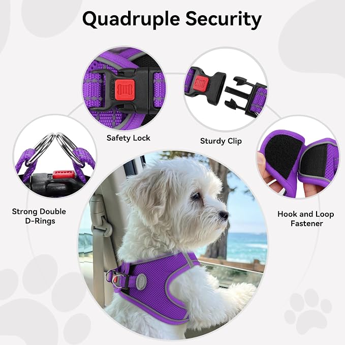 Joytale Small Dog Harness, Breathable Mesh Step-in Vest, Reflective Soft Padded Harnesses Small Sized Dog for Walking, Purple, S