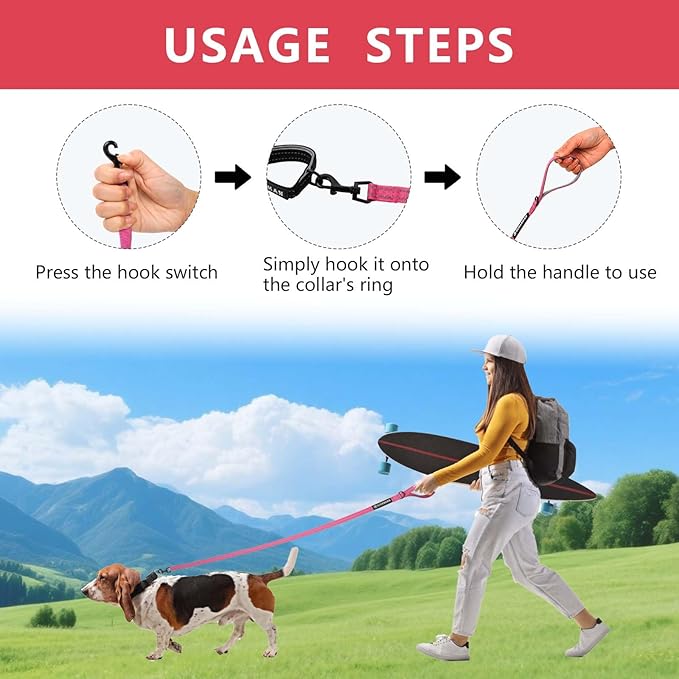Reflective 6 FT Dog Leash, Premium Traditional Style Puppy Leash with Easy to Use Collar Hook for Small, Medium, and Large Breed Puppies (Rose Red, 3/4 in x 6 ft)