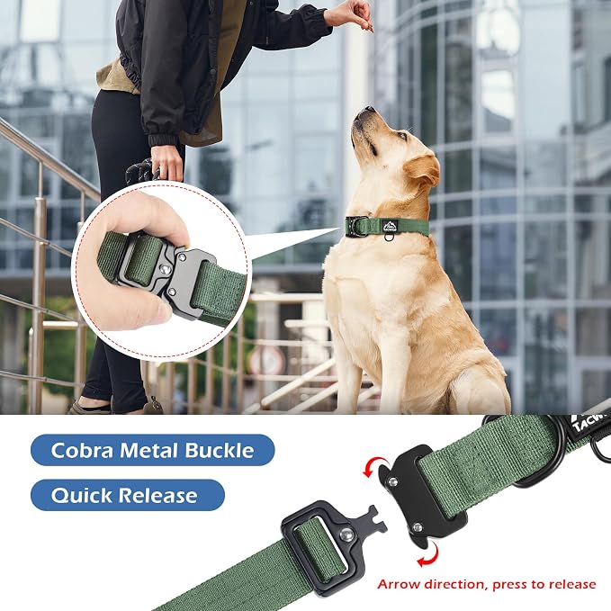 Dog Collar for Large Dogs - Adjustable, Chew Proof Nylon Collar with Metal Quick Release Buckle and D-Ring for Dog Tags (Dark Green)