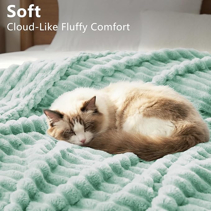 HIMEET Fleece Sage Green Throw Blanket for Bed - 300GSM Ribbed Soft Cozy Blanket for Couch, Graduation Birthday Gifts for Women Men Dad, College Dorm Essentials Minimalist Room Throws, 50x60 Inches