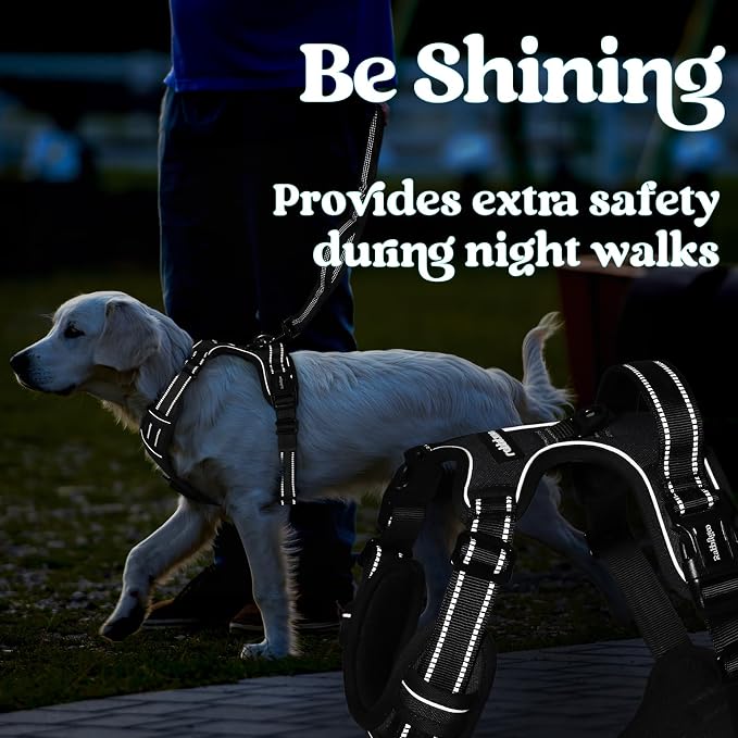 rabbitgoo Dog Harness for Large, No Pull Easy On & Off with 3 Buckles Pet Harness, Adjustable Soft Walking Vest with 2 Clips and Handle, Reflective for Extra Large Dogs, Black, XL