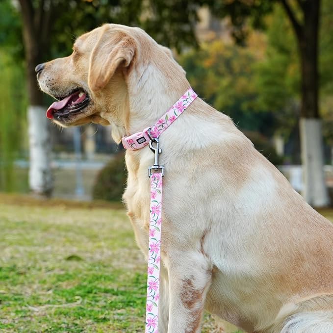 Dog Collar Leash Set, Floral Pattern, Polyester Material, Adjustable Collar and 5ft Matchcing Leash, for Puppy Dogs.(XS, Pink Lily)