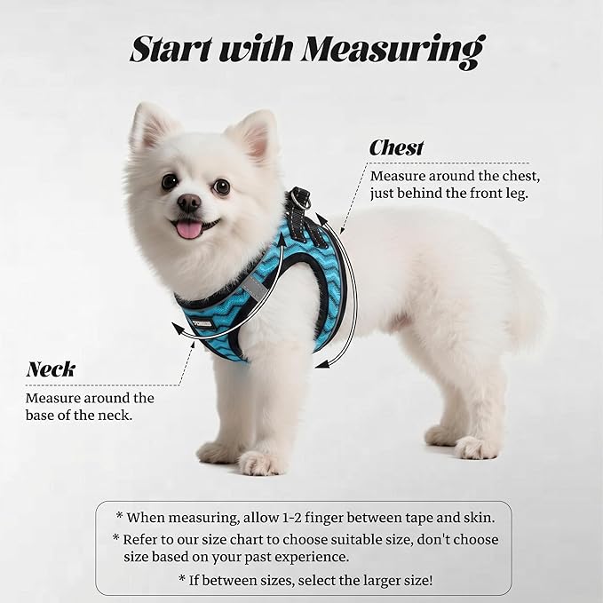 YIMEIS Dog Harness and Leash Set, No Pull Soft Mesh Pet Harness, Reflective Adjustable Puppy Vest for Small Medium Large Dogs, Cats (Blue-Update, Medium (Pack of 1)