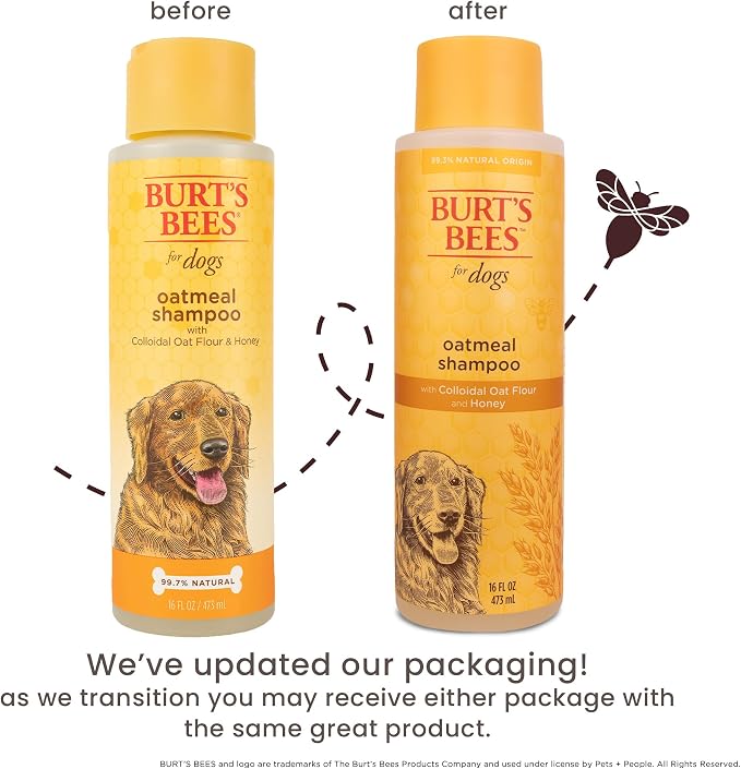 Burt's Bees for Pets Oatmeal Dog Shampoo with Honey, Soothing Formula for Itchy and Sensitive Dog Skin, Colloidal Oat Flour and Honey, pH Balanced, Sulfate-Free, 16 Fl Oz - 6 Pack