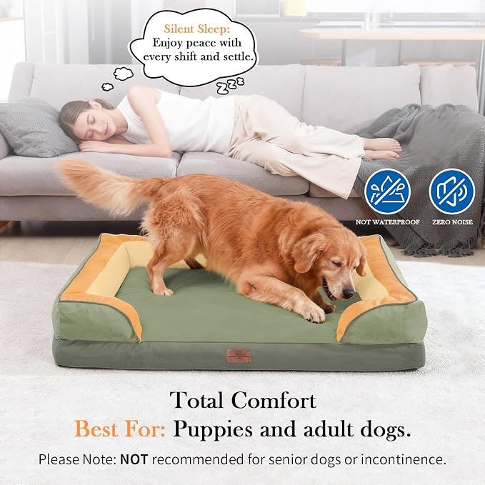 Comfort Expression Orthopedic Dog Bed for Large Dogs 36x27 Inch, Waterproof Egg Crate Foam Large Pet Bed with Removable Bolsters, Dog Couch with Washable Cover & Non-Slip Bottom, Avocado