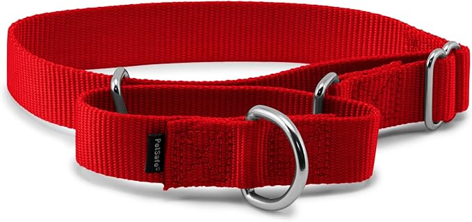 PetSafe Martingale Dog Collar Medium, 1 Inch, Red