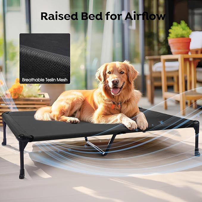 Veehoo Orthopedic Elevated Dog Bed with Fluffy Plush Bolster Cushion, Indoor Raised Dog Beds for Large Dogs, Soft Pet Sofa Cot with Removable Washable Mat, No-Slip Feet, 49 x 33 inches, Cream White