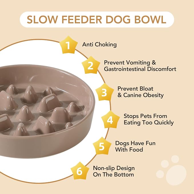 Havniva 8.2” Raised Slow Feeder Dog Bowls Set, 1.6 Cups Ceramic Slow Feeder Dog Bowl and 7.3” Dog Water Bowl with Elevated Wooden Stand Puzzle Dog Food Bowl for Medium Dogs Anti-Gulping & Anti-Choking