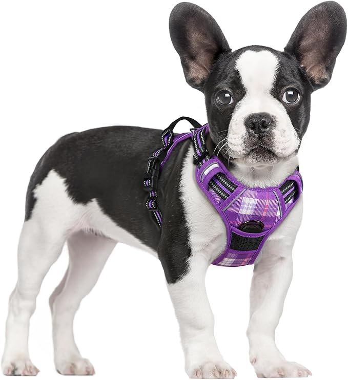 rabbitgoo Dog Harness No Pull with 2 Leash Clips, Adjustable Soft Padded, Reflective Oxford No Choke Pet Vest with Easy Control Handle for Small Dogs, Purple Plaid, S