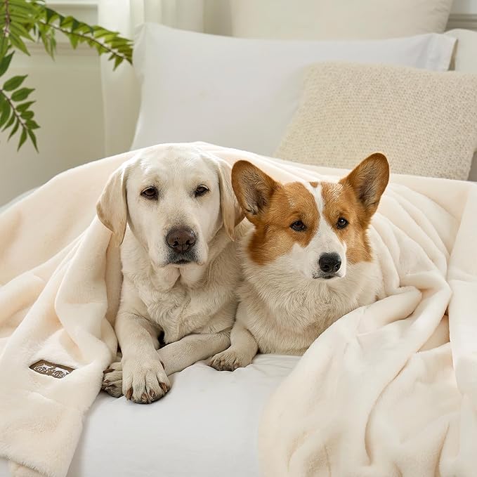 COZY KISS Luxury Faux Fur Throw Blanket Twin, Ultra Soft Waterproof Pet Blanket, Cozy Warm Plush Blanket for Bed Sofa Bedroom Living Room, Liquid Pee Proof for Large Dog or Cat, 60x80 inch, Cream