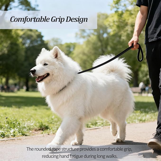 2-Pack Adjustable Nylon Slip Dog Lead – Collar-and-Leash Integrated Design for Training (Black/Blue)