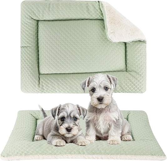 Dog Bed Mat, Crate Pad Reversible,Soft Kennel Washable Crate Mat (Cool and Warm),Pet Sleeping Mattress for Small Medium Dogs XB009 (36''x23'',Sage Green)