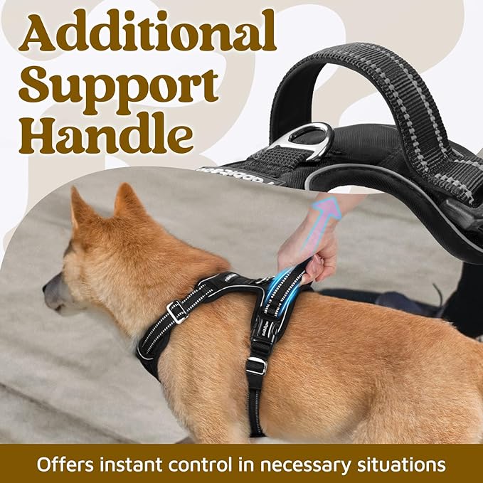 rabbitgoo Dog Harness for Large Dogs, 3 Buckles Easy On & Off No Pull Pet Vest, Soft Padded Walking Pet Harness with Control Handle, Adjustable and Reflective, Black, L