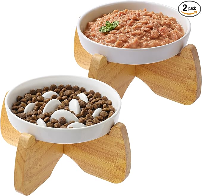 Raised Cat Bowls, 6.3'' Flat & Slow Feeder Bowl, Wide Ceramic Elevated Shallow Slow Eating Cat Bowl for Dry/Wet Food, Anti-Vomiting Pet Puzzle Feeder, Whisker Friendly, Dishwasher Safe (2 Pack)