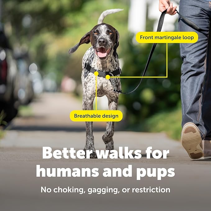 PetSafe Easy Walk No-Pull Dog Harness - Ultimate Harness to Help Stop Pulling - Pull-Free Walks - Take Control & Teach Better Leash Manners - Patented Martingale Loop Design - Gray, Medium/Large