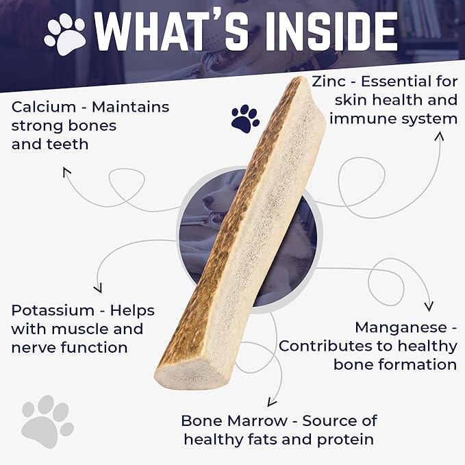 Devil Dog Pet Co. Split Elk Antlers for Dogs, Natural Dog Chew with Exposed Marrow - Long Lasting and Odor Free - USA Sourced - Cleaner Teeth, Anxiety & Boredom Relief - Medium 5"+ 2 Pack
