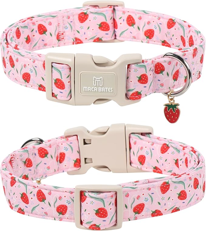 Maca Bates Spring Pink Basic Dog Collar with Strawberry Charm for Extra Small Girl Boy Dogs, Leaves Strawberries Pattern,Pretty Gift Adjustable Durable Soft Collars for Male Female Puppy