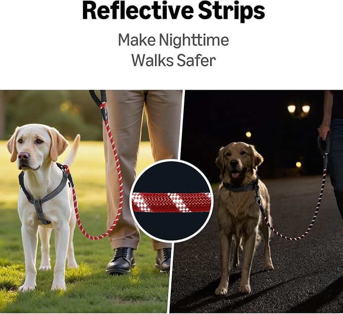 Amazon Basics Round Dog Leash, Heavy Duty, Durable Rope for Small, Medium, and Large Dogs, Lightweight Design for Walking, Training, and Outdoor Activities, Red, 6 Ft