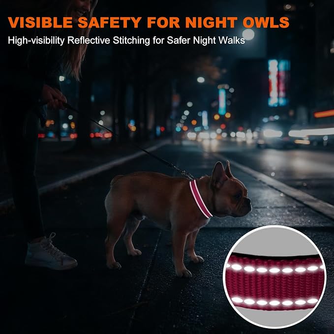 Taglory Reflective Dog Collar for Medium Dogs, Soft Neoprene Padded with Escape-Proof Locking Buckle, Upgraded Zinc Alloy Ring, Adjustable for Walking Female Male, Hotpink,M