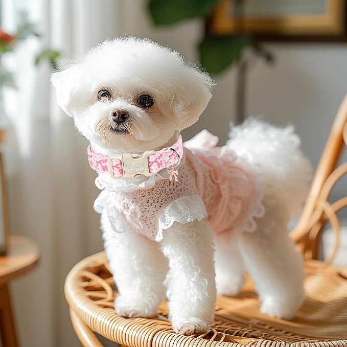 Pink Bow Dog Collar Cute Girl Dog Collars for Giant Large Dogs - Lightweight Adjustable Girly Spring Female Dogs Everyday Collar with Safety Buckle XL