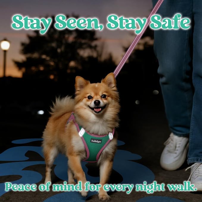 rabbitgoo Dog Harness Small Sized and Leash Set, Step-in Breathable Pet Harness, Soft Walking Reflective Puppy Vest for Small Dogs, Teal & Pink, M