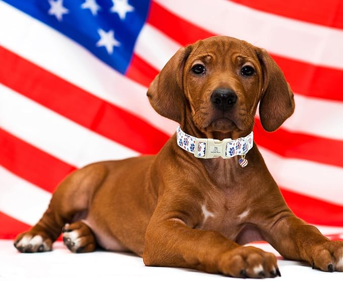 Lionheart glory American Flag Dog Collar, 4 of July Patriotic Independence Day Dog Collar Heavy Duty Adjustable Dog Collars for Large Dogs Pet Gift Summer Collars Dog Cute Collars