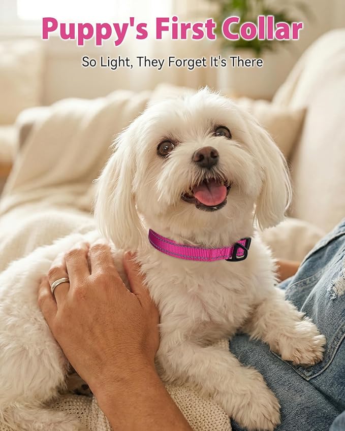 Joytale Dog Collars for Small Dogs, Feather-Light Double-Sided Reflective Nylon Collar for Night Safety, Adjustable Quick-Release for Growing Puppies, Hotpink, S (5/8" Width)