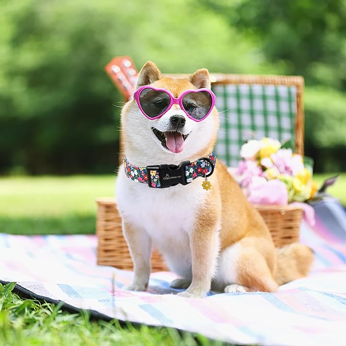 ARING PET Girl Dog Collar, Cute Spring Summer Floral Puppy Pet Collars for Small Medium Large Dogs-M