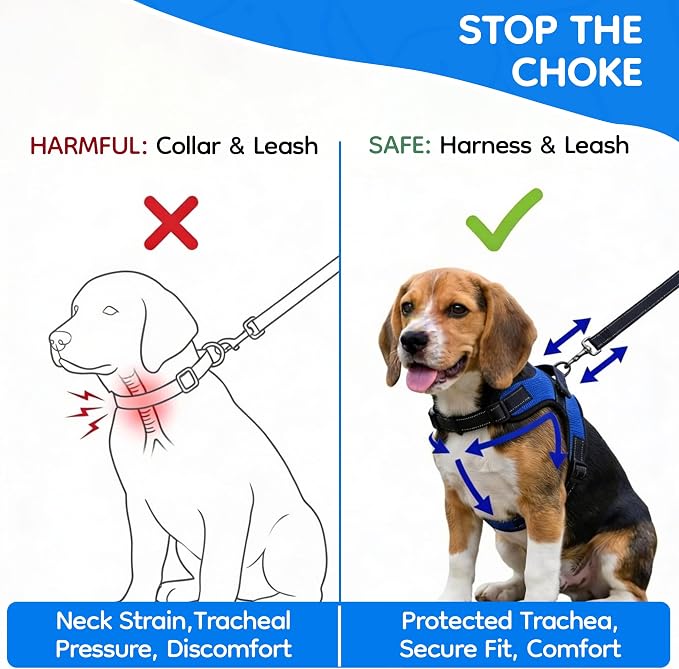 No Pull Reflective Adjustable Dog Harness With Handle- Comfortable Soft All Weather Mesh, Easy On Puppy Harness For Small Medium and Large Dogs (Blue) Medium