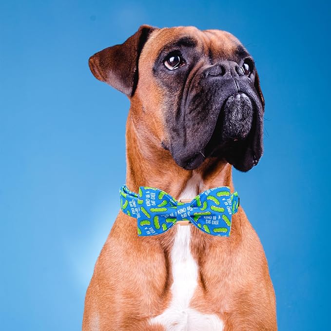 Elegant Little Tail Dill Pickles Print Dog Collar - X-Large, Cute Bowtie