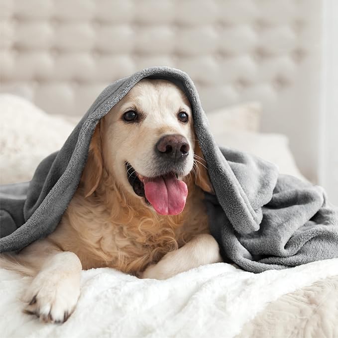 BEDELITE Fleece Blankets Queen Size Grey Throw Blankets for Bed, Luxury Plush Cozy Fuzzy Blanket 90x90 inches, Super Soft Warm Lightweight Throw Blanket All Seasons Suitable