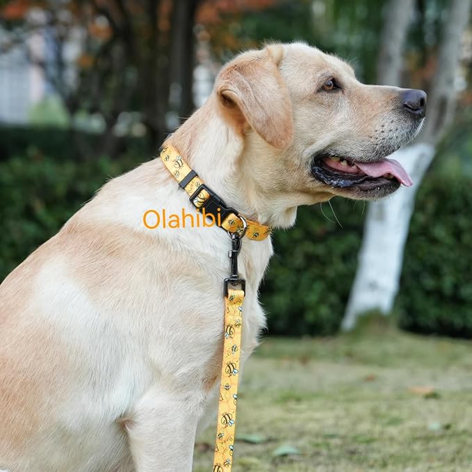 Dog Collar Leash Set, Busy Bee Pattern, 5ft Matching Leash, Polyester Material, 4 for Small Medium Large Dogs.(XS, Bee)
