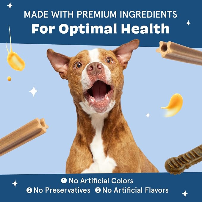 Barkbox Bright Durable Dog Dental Chew Sticks - 15 Dental Chews for Dogs - for Large Breeds (50+ lbs)