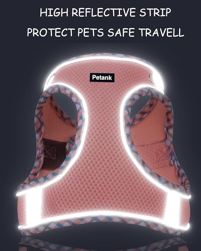 Petank Dog Harness for Small Medium Dogs No Pull, Puppy Harness and Leash Set, Step in Dog Harness for Walking, Running, Training, Small Dog Vest, Medium Dog Vest (Purple, M)