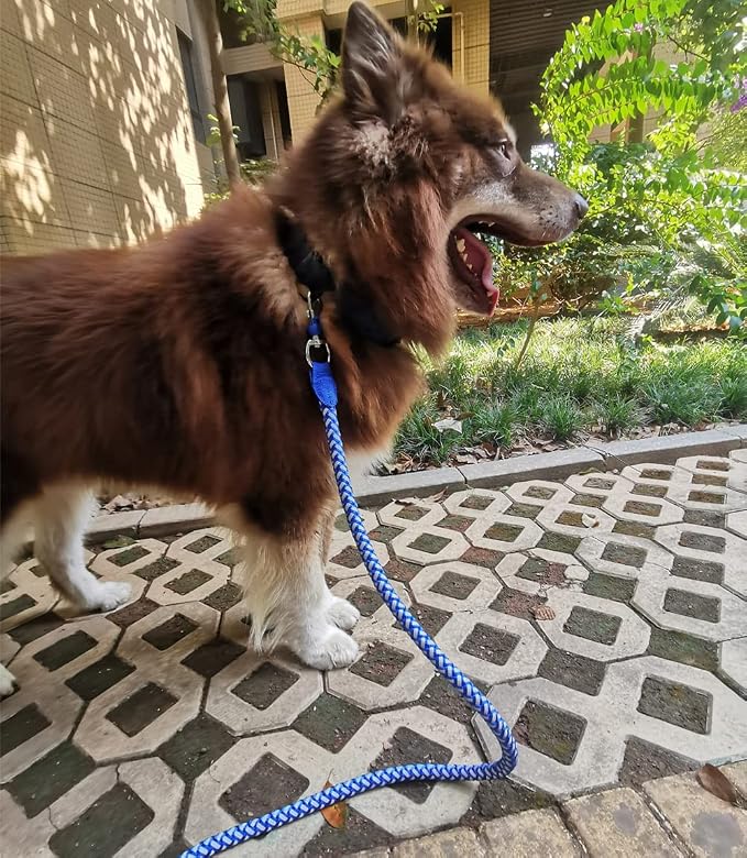 2/3/4/6/10 Foot Reflective Dog Leash Heavy Duty Strong Nylon Rope Braided for Large Medium Small Dogs Walking Training Leads (Blue, 6ft * 1/2")