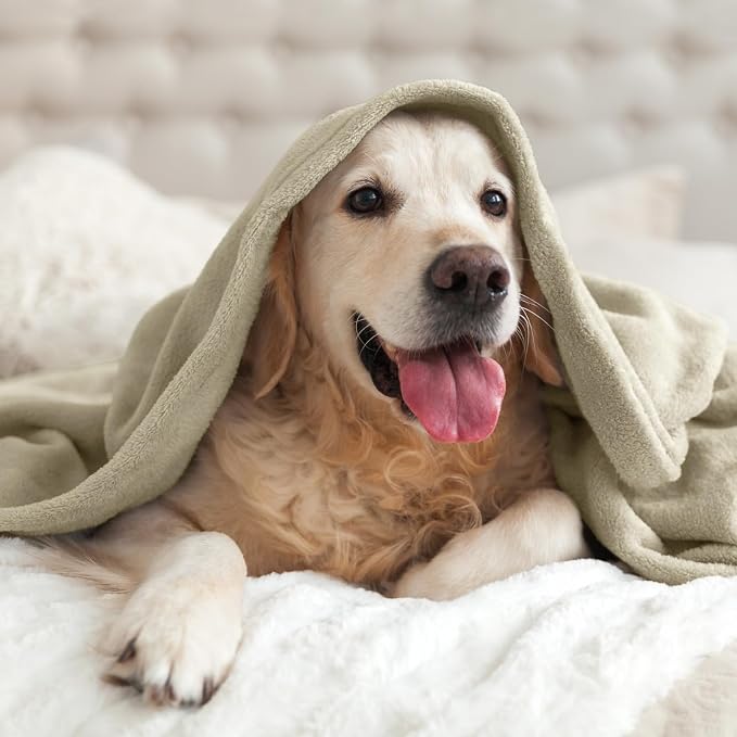 BEDELITE Fleece Blanket Twin Size Oatmeal Throw Blankets for Couch & Bed, Luxury Plush Cozy Fuzzy Blanket 60x80 inches, Super Soft Warm Lightweight Throw Blanket for Travel Camping