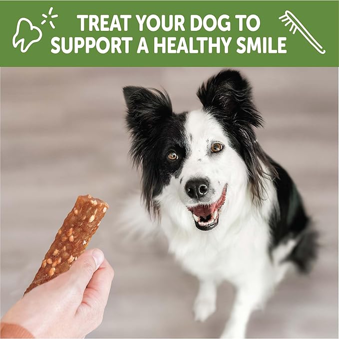 Whimzees Wellness Veggie Strip Natural Dog Dental Treat, Chews, Freshens Breath, Medium Size, 14.81 oz Bag, 14 Count