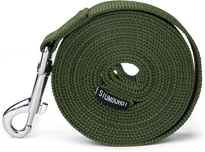 Strong Durable 6 ft Nylon Dog Training Leash, 1 Inch Wide Traction Rope, for Small and Medium Dog (Military Green, 6 Feet)